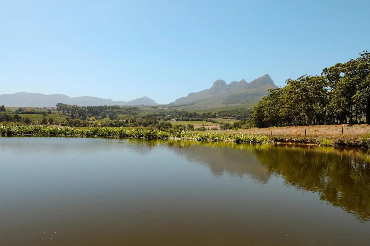 Guest house Strawberry Manor At In The Vine Hotel Helderberg